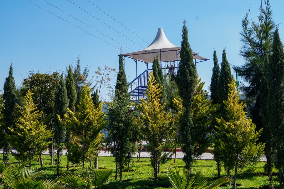 DSC03445