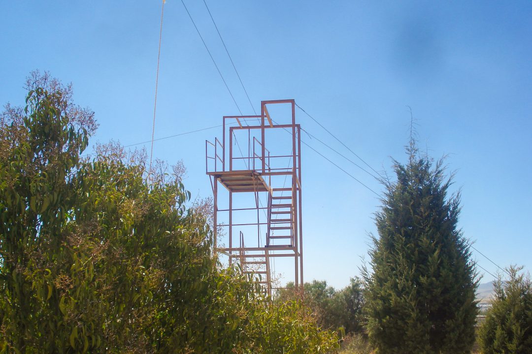 DSC05115