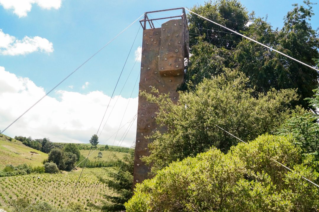 DSC06849